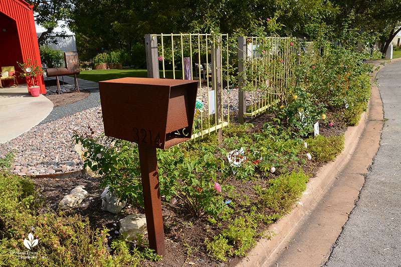 street curb roses and mailbox