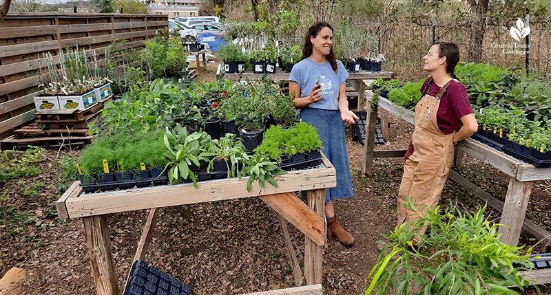 two women at wooden nursery tables with rows of plants