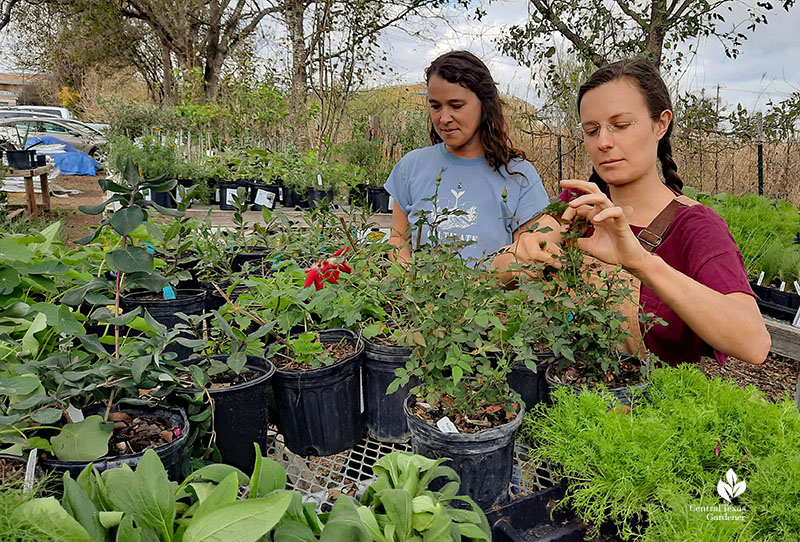 two women with plants