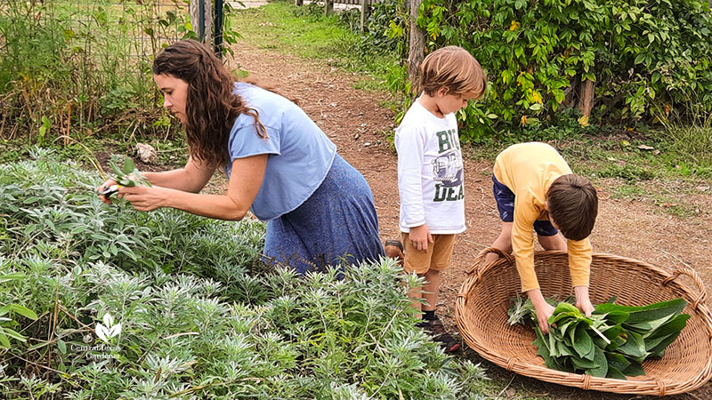woman and children harvesting herbs