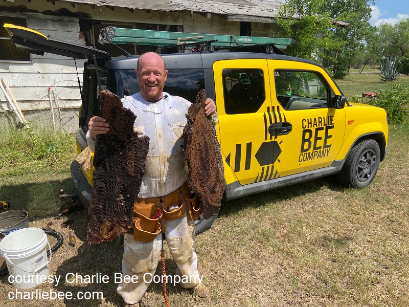 man in bee suit with bees