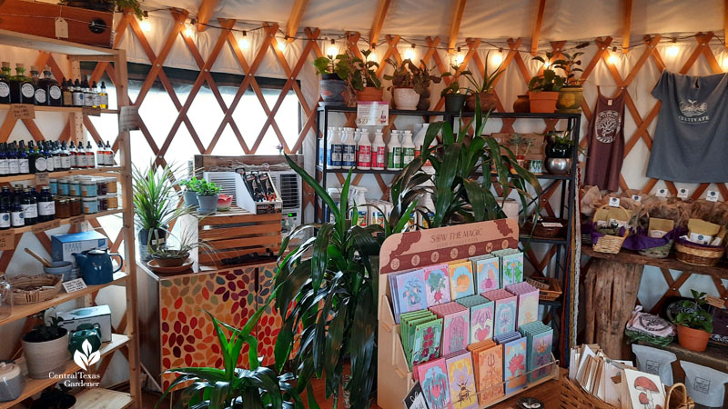 seeds and garden supplies in a shop