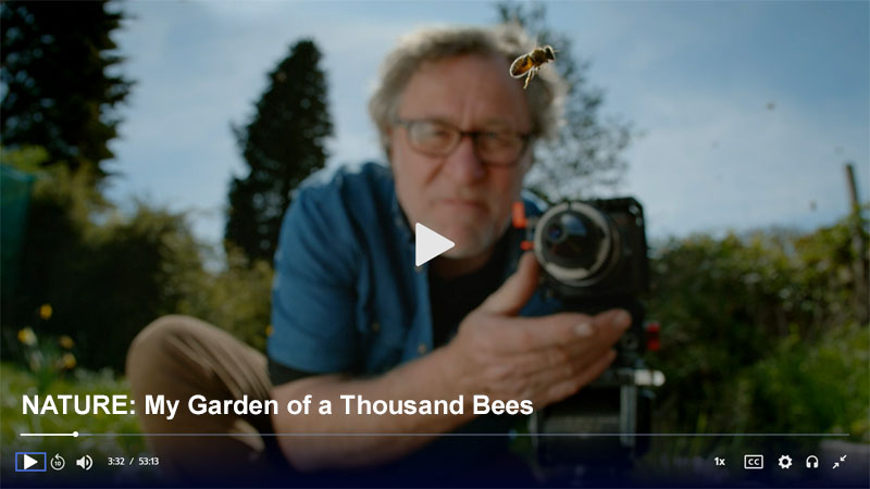 text: Nature My Garden of a Thousand Bees background picture of man, camera, and bee