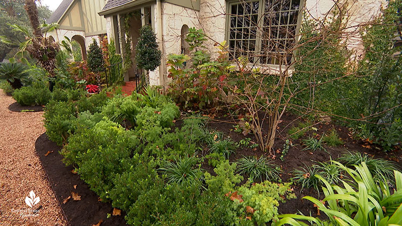 house front bordered by plants