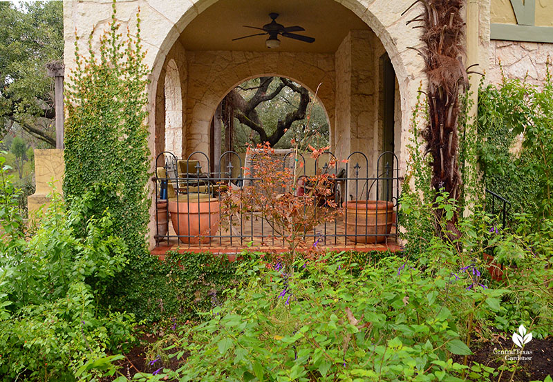 front porch framed by plants