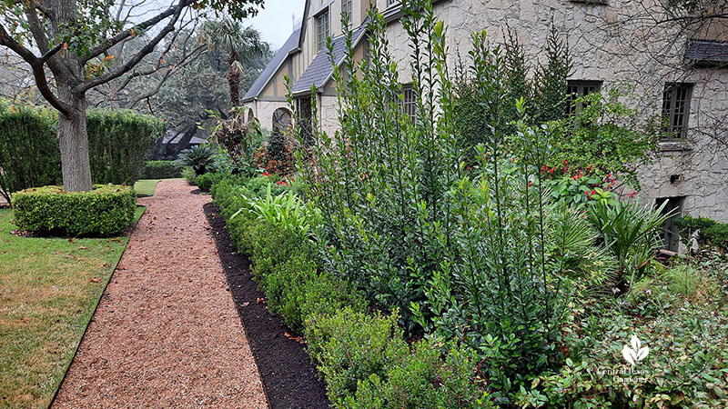 gravel path bay laurel hedge