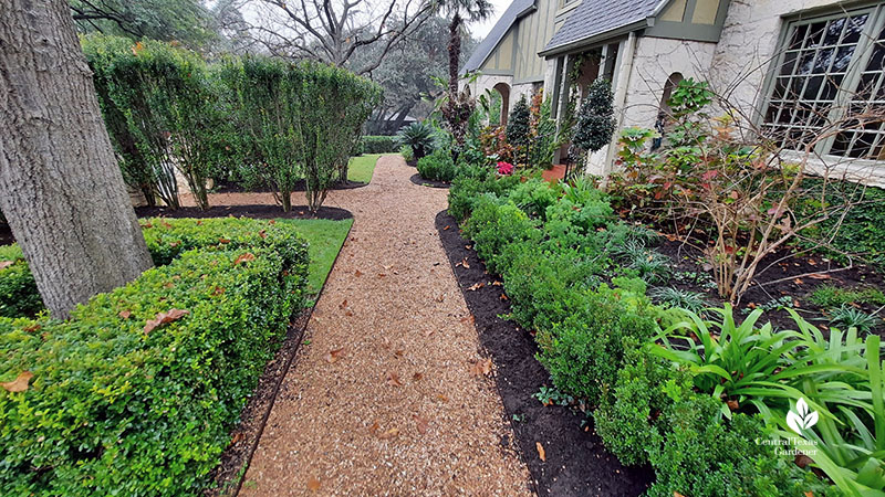 gravel path bordered with plants