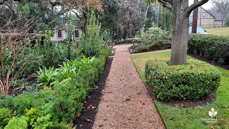 gravel path in garden