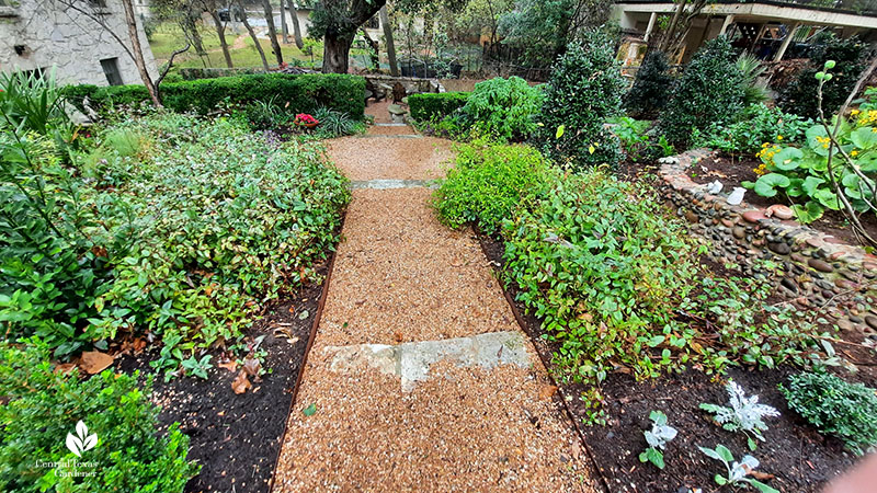 pea gravel path bordered with plants