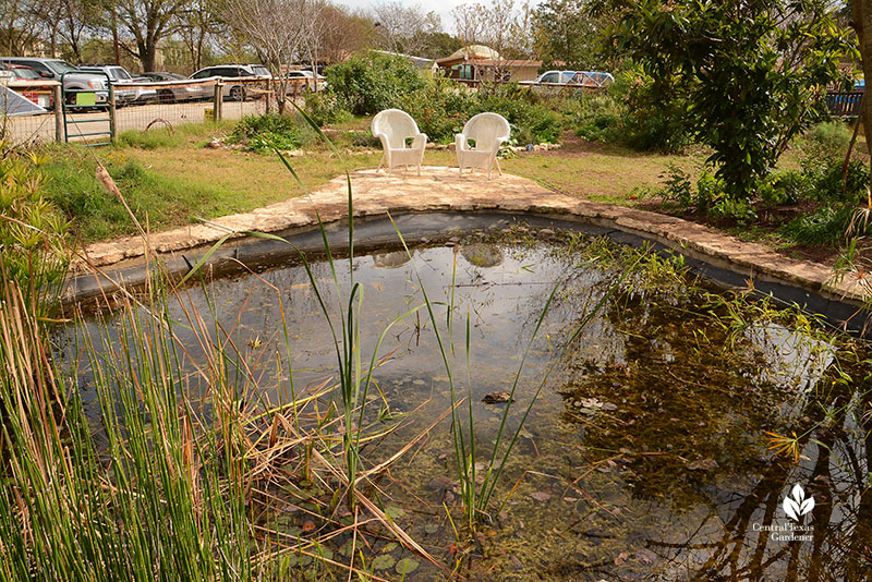 pond to chairs and gardens