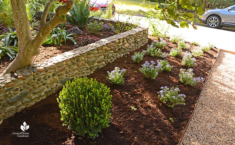 stone wall with plants