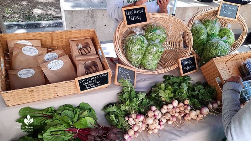 cookies, beets, turnips, lettuce in farm stand 