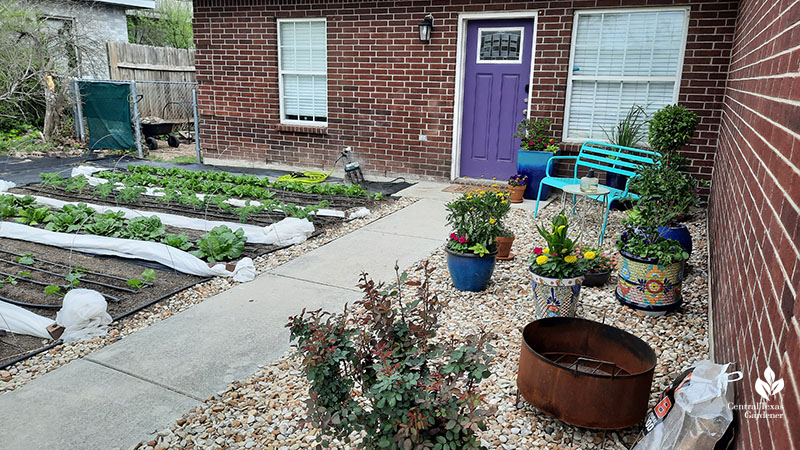 container plants turquoise bench front door patio 