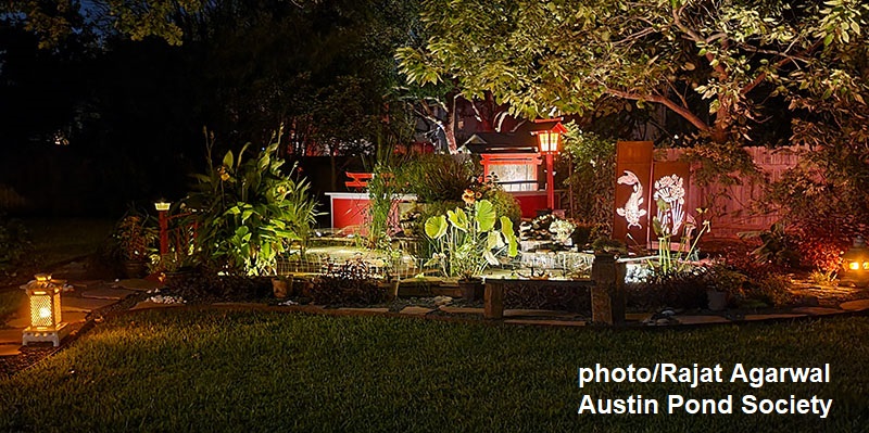 lantern and backlit panels garden lit by night