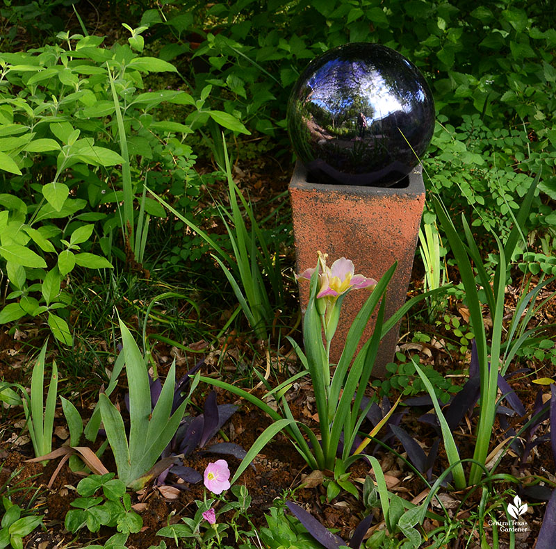 clay pot inverted to hold purple gazing ball irises underneath in garden bed