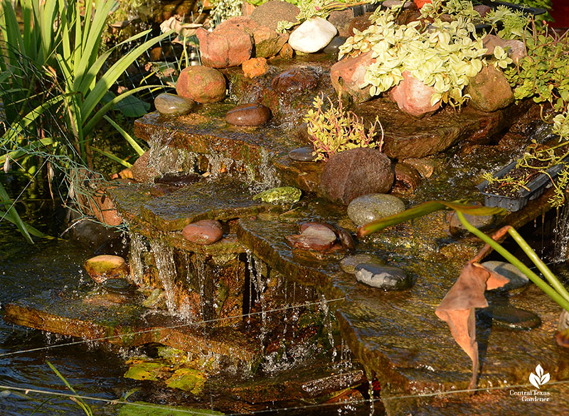 plants mounted on stone slab waterfall