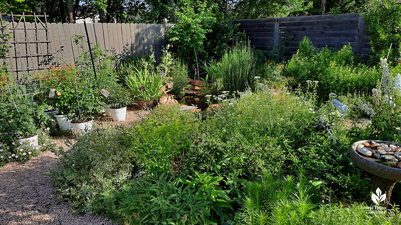 garden island to plants in containers and along fence