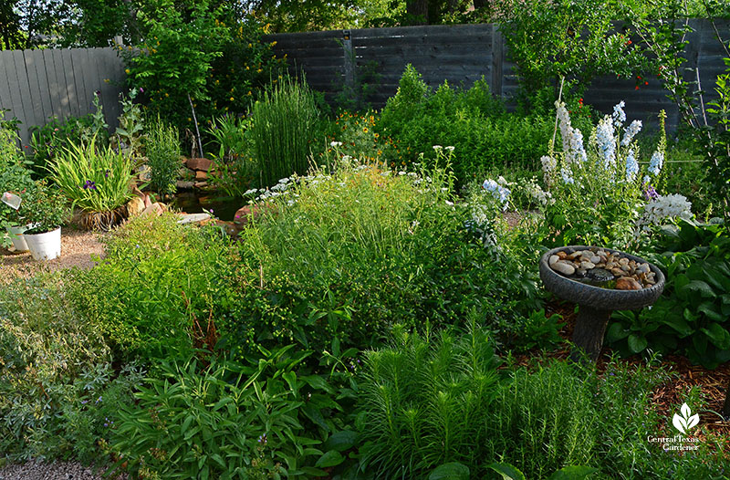 backyard island full of plants