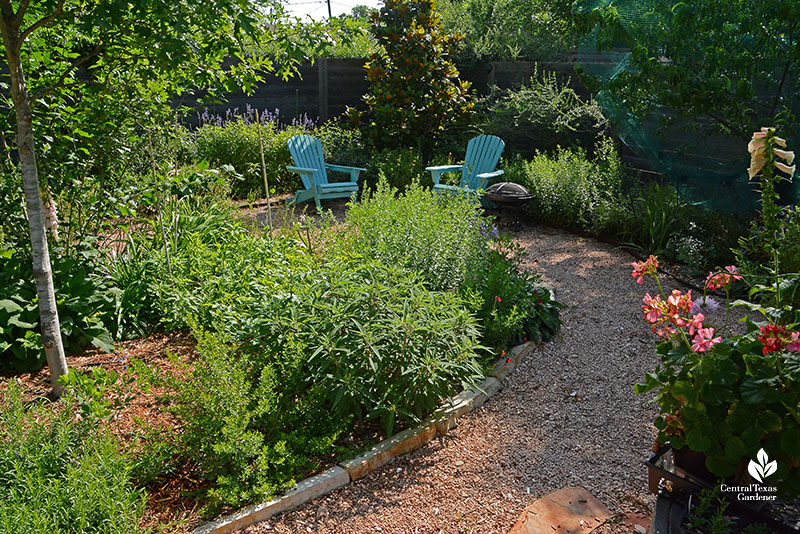 decomposed granite path plants in island bed blue chairs beyond