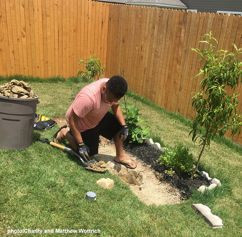 man kneeling at garden bed with tree