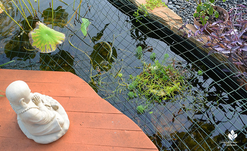 chicken wire arched over narrow pond 