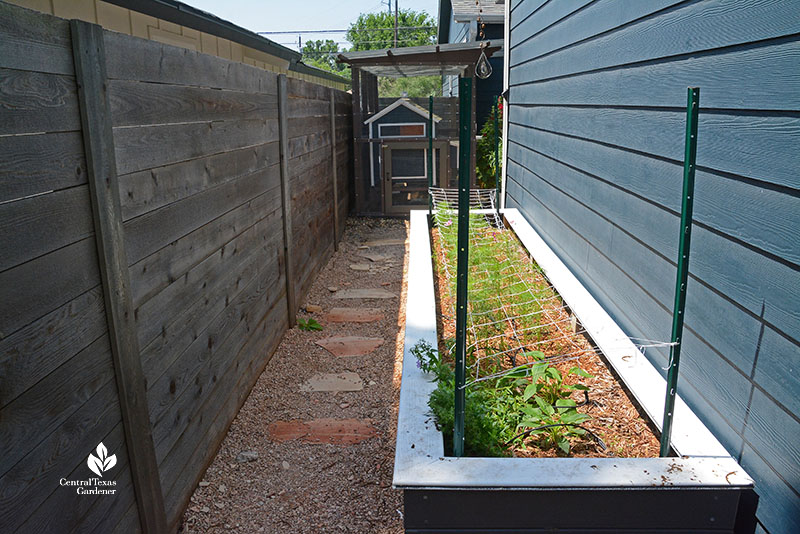 narrow path between fence and house raised bed against house