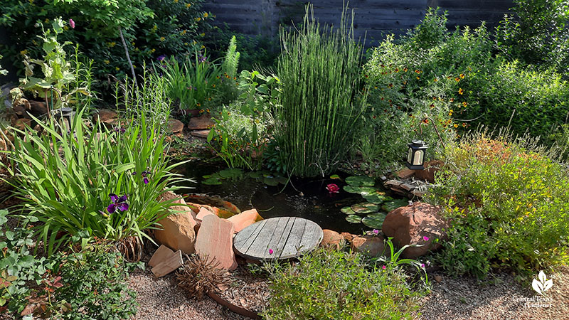 pond with flagstone border and water plants
