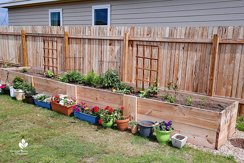 raised beds along fence