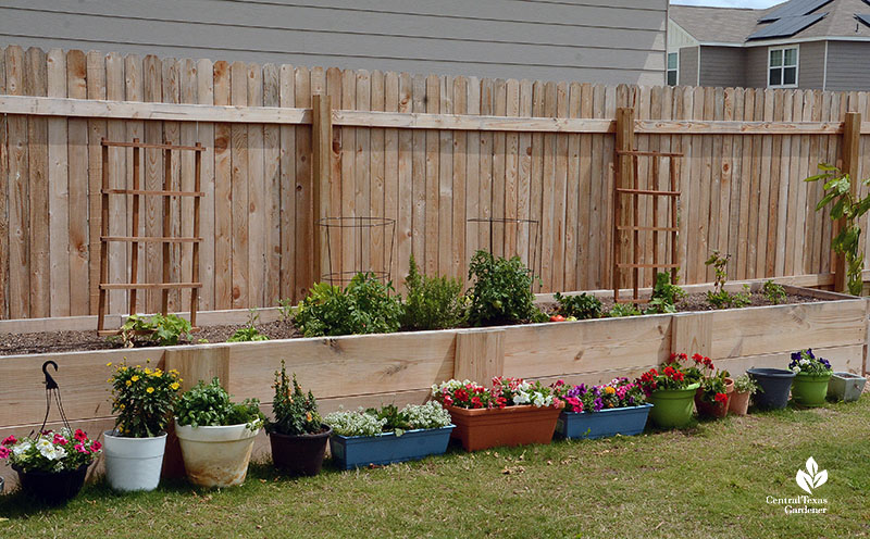 raised beds with plants