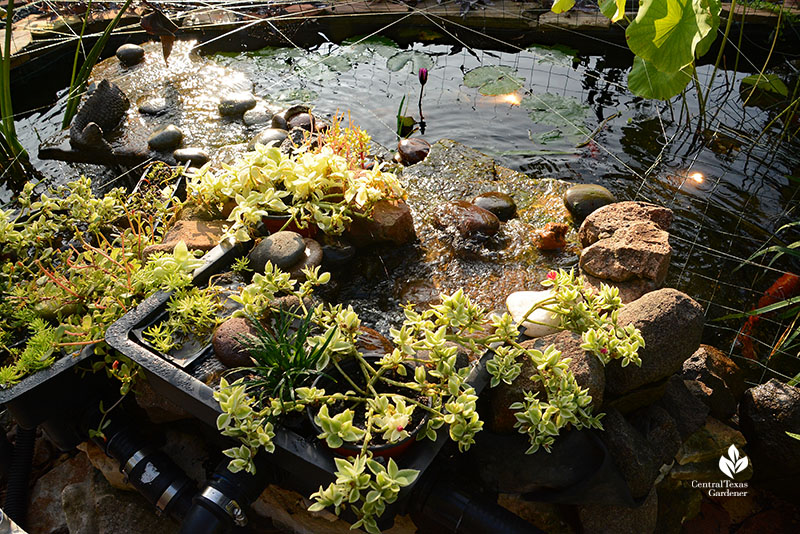 plants inserted on top of stone waterfalls 