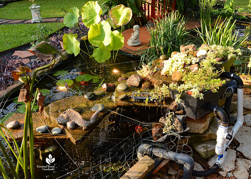 plants mounted on stone slab waterfalls