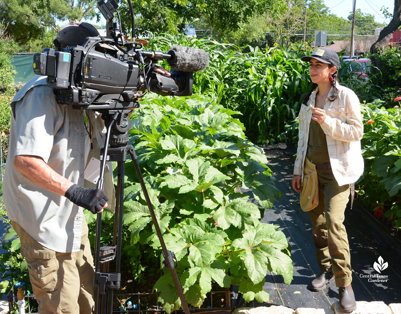 woman holding flower blossom while camera man records it