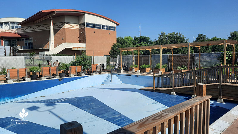 empty swimming pool to building