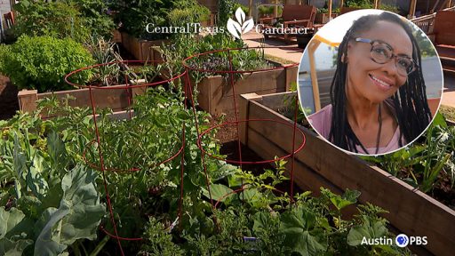 vegetable garden and women's picture in circle