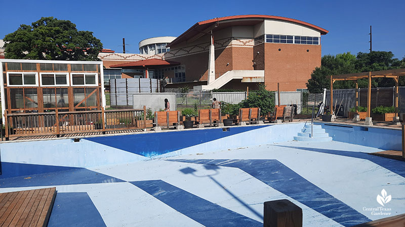 empty swimming pool to gardens and building