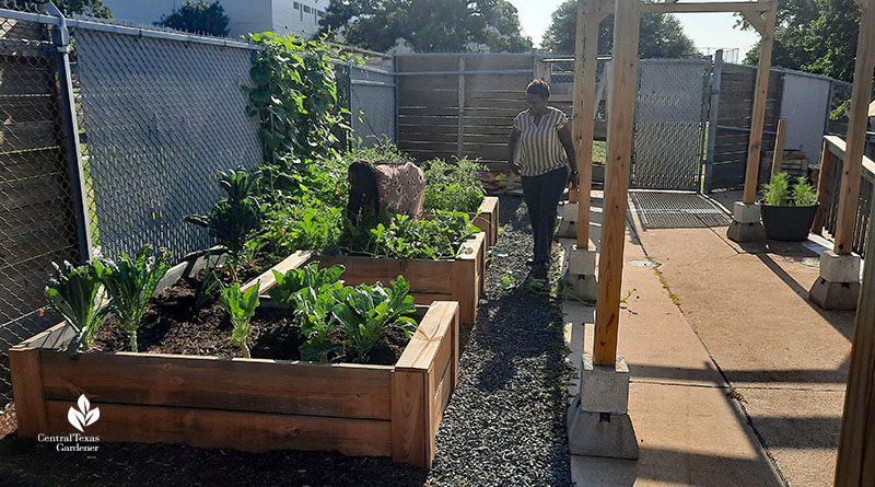 two women walk on path with raised bed gardens