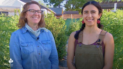 two smiling women, tomato plants in background