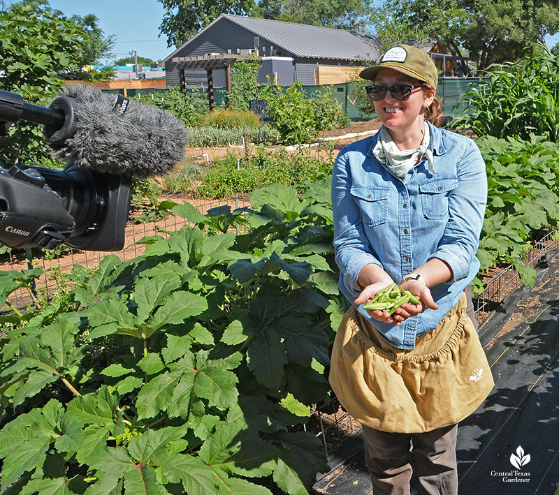woman holding okra harvest