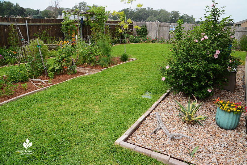 flower bed next to house with agave and flowering shrub in gravel mulch and island vegetable bed with pine straw mulch