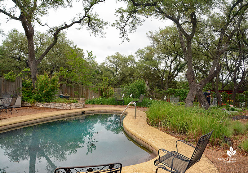 backyard swimming pool live oak trees patio 