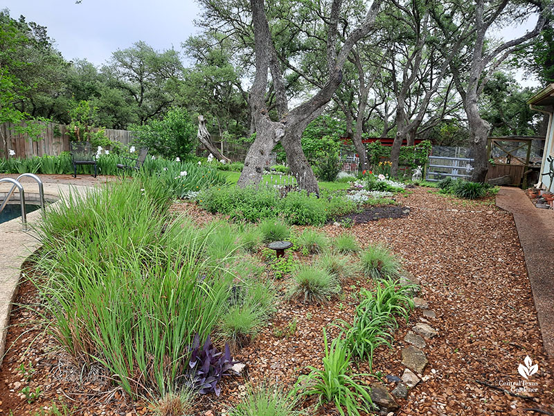 plants in beds and borders against narrow path