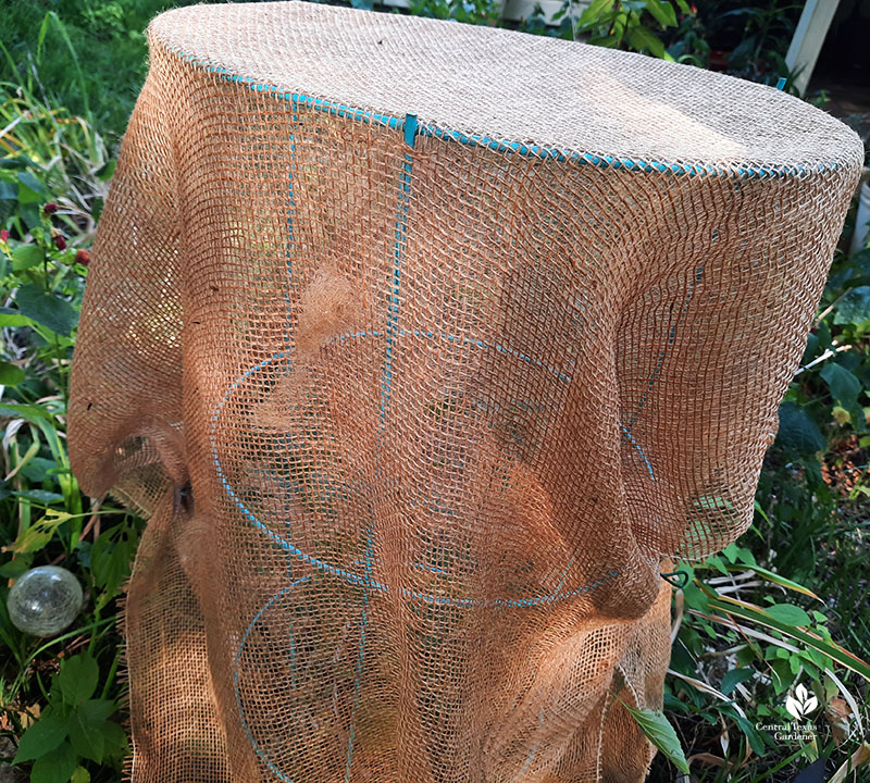 burlap shade cloth over tomato cage