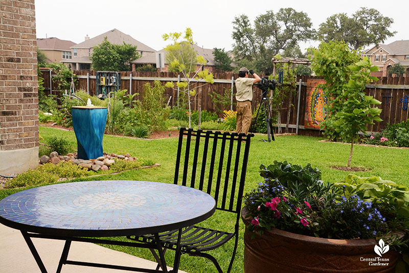 patio table container plant blue fountain lawn and flowers 