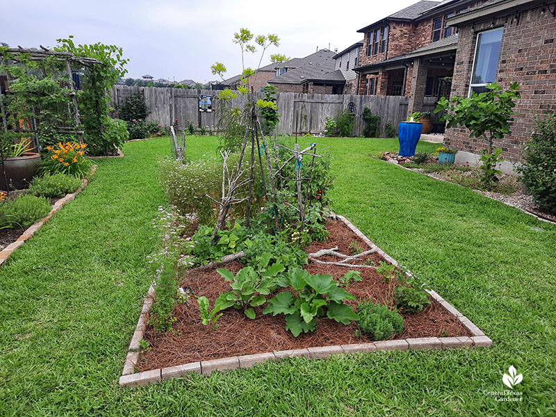 vegetable bed in center of lawn