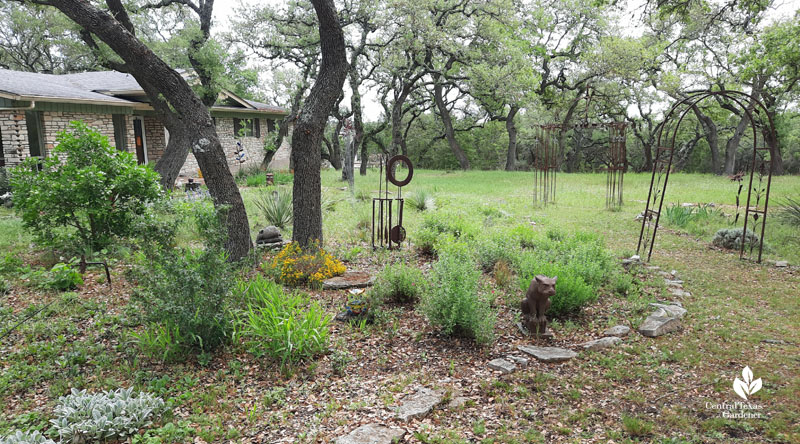 shady front yard under live oak trees 