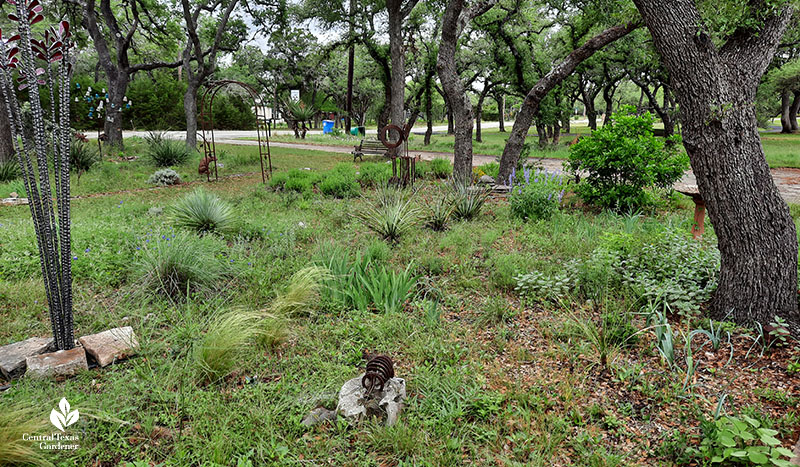 native plants and metal sculptures under live oak trees