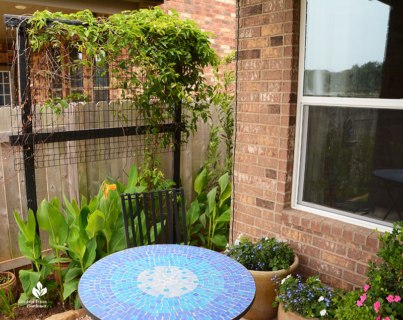 trellis against house to shield neighbor's house