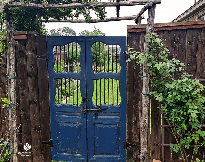 antique blue gate cedar tree arbor