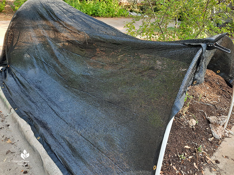 black shade cloth over PVC hoops