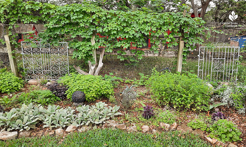 fence with silver gates artwork and  plants